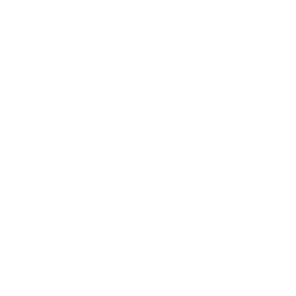 Local SEO Experts