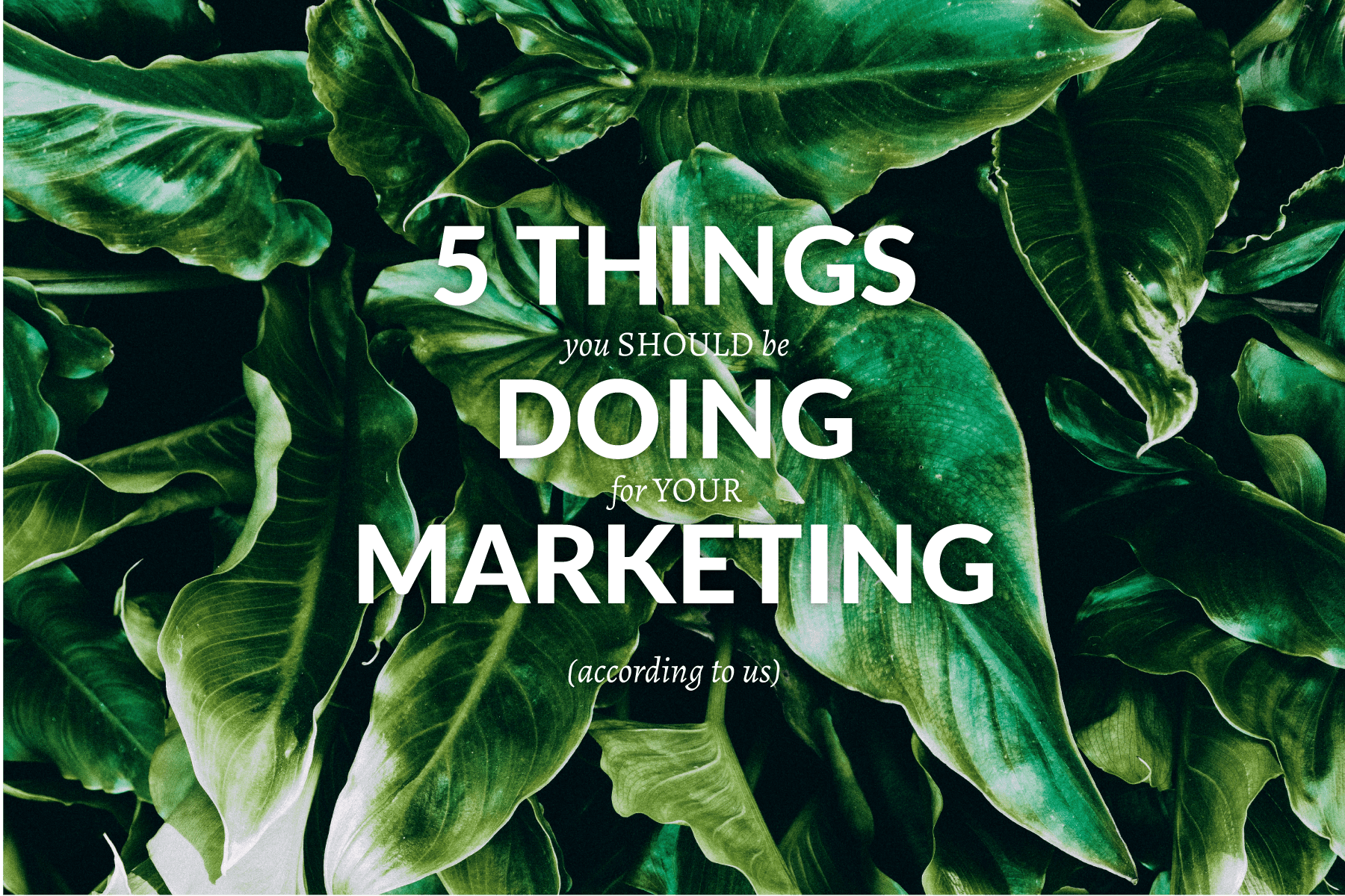 5 Things You Should Be Doing for Your Marketing