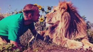 building trust - lion and man concept - brand perception, trust and credibility