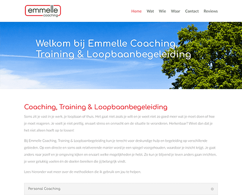 emmelle coaching