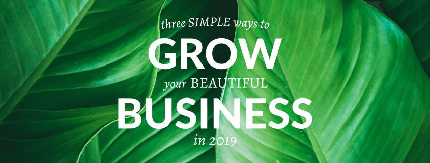 Grow your business with Nettl in 2019