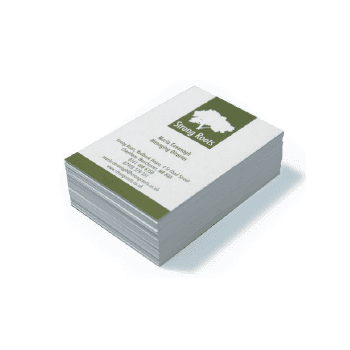 Nettl Basic Business Cards