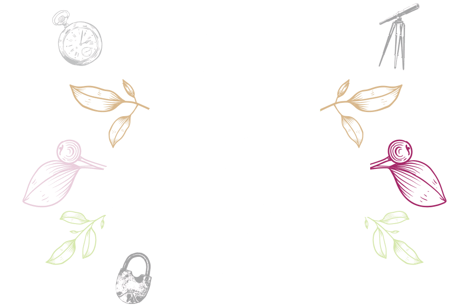 Care Plans-Text Art