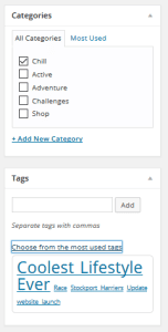 Wordpress 1 Screenshot-102