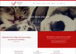 - village 1 1