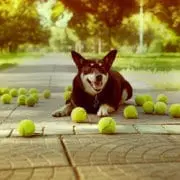 How to get More Web Enquiries 5 more website enquiries concept image