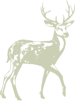 stag Partners - stag 1