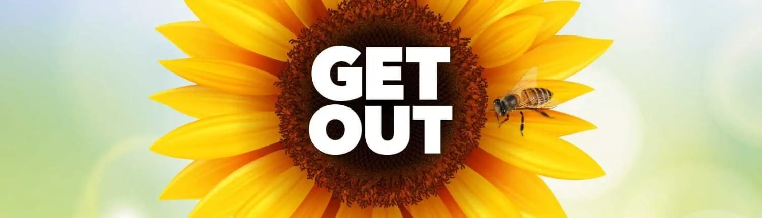 - 9211 sunflower cover