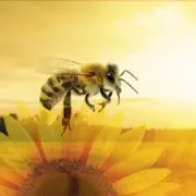 Get Busy with Exhibitions and Events 3 outdoors event marketing