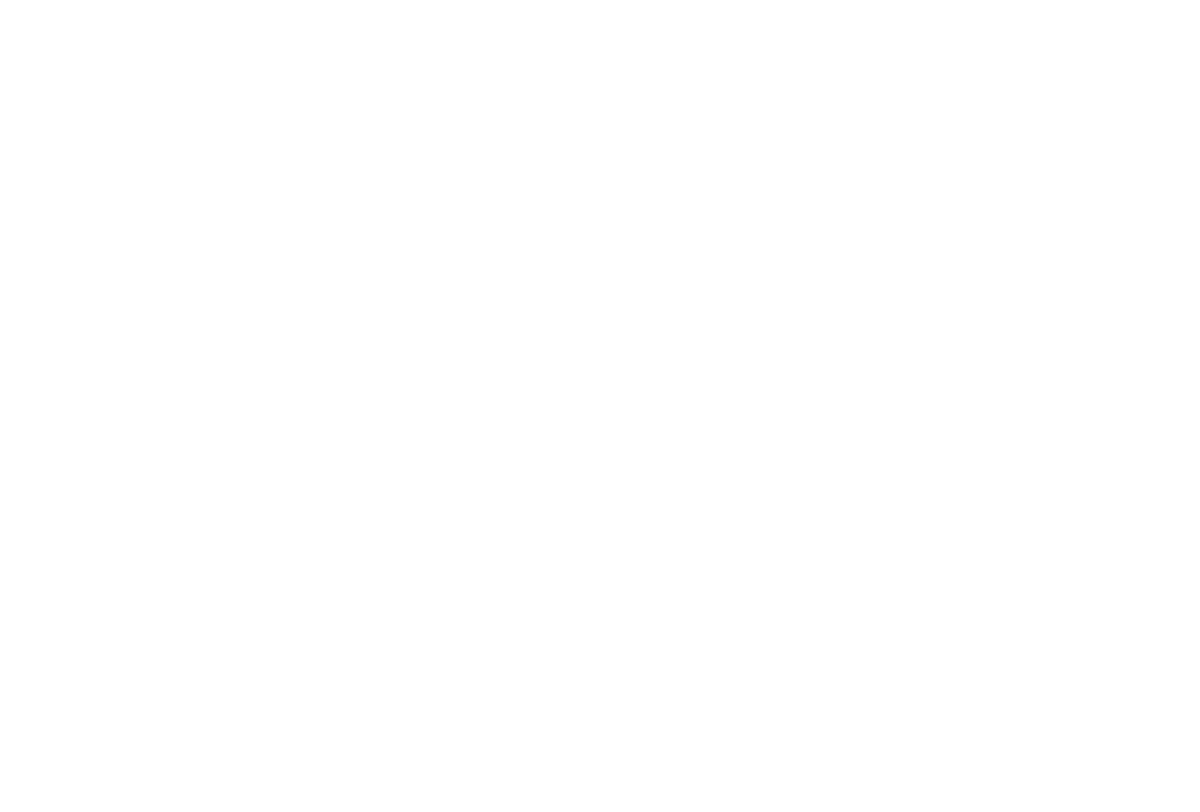 black friday - NETTL BLACK FRIDAY GRAPHIC