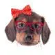 - Puppy Head Red 600