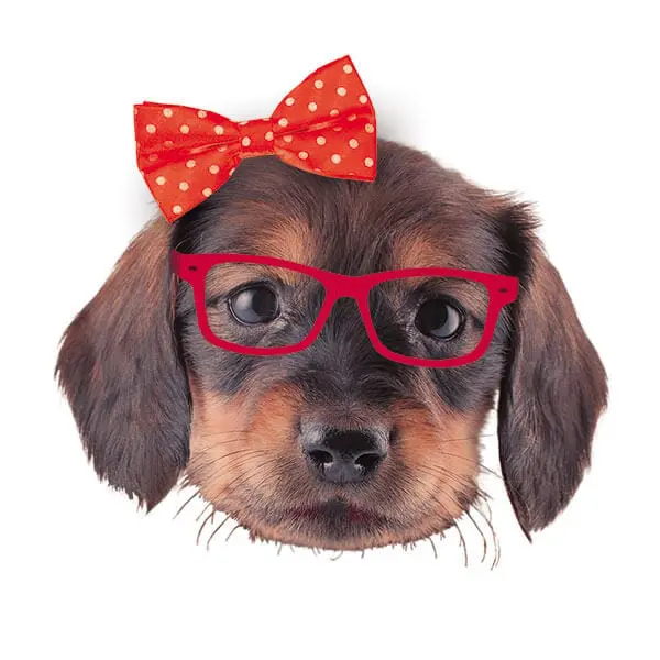 - Puppy Head Red 600