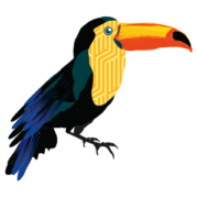 Be Beautiful 3 - toucan