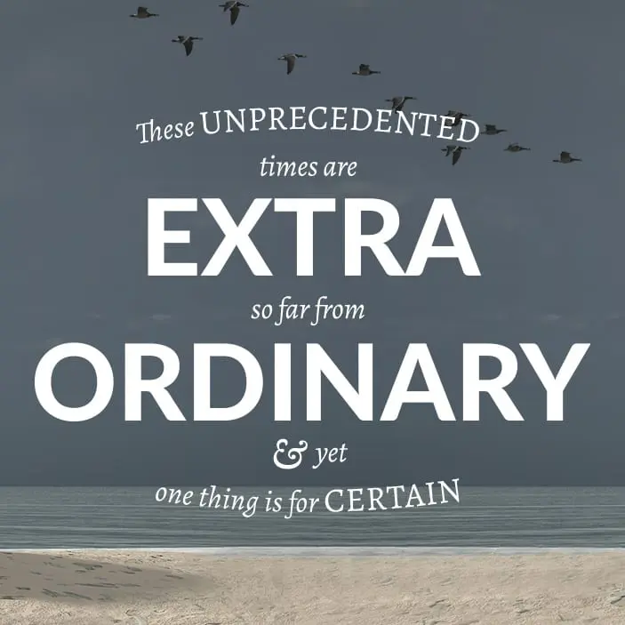 - extraordinary sq