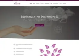 - MulberryB 1