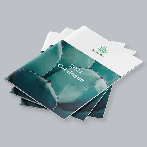 Game Face - booklets