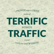 terrific web traffic