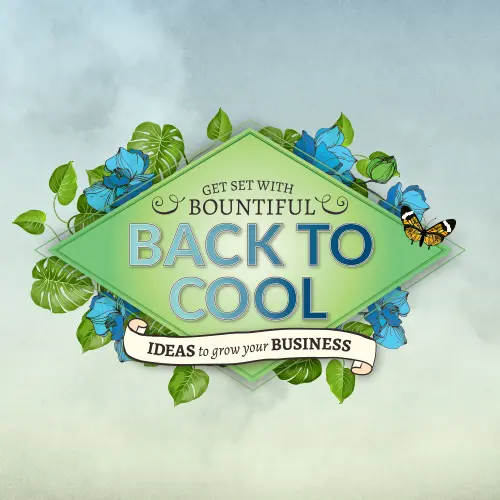 Back to cool - Back to Cool Nettl