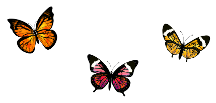 Back to cool - butterflies 2