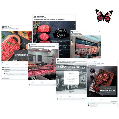 social-butterfly Back to cool - social butterfly