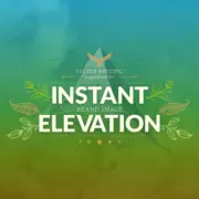 instant elevation - Instant Elevation Featured