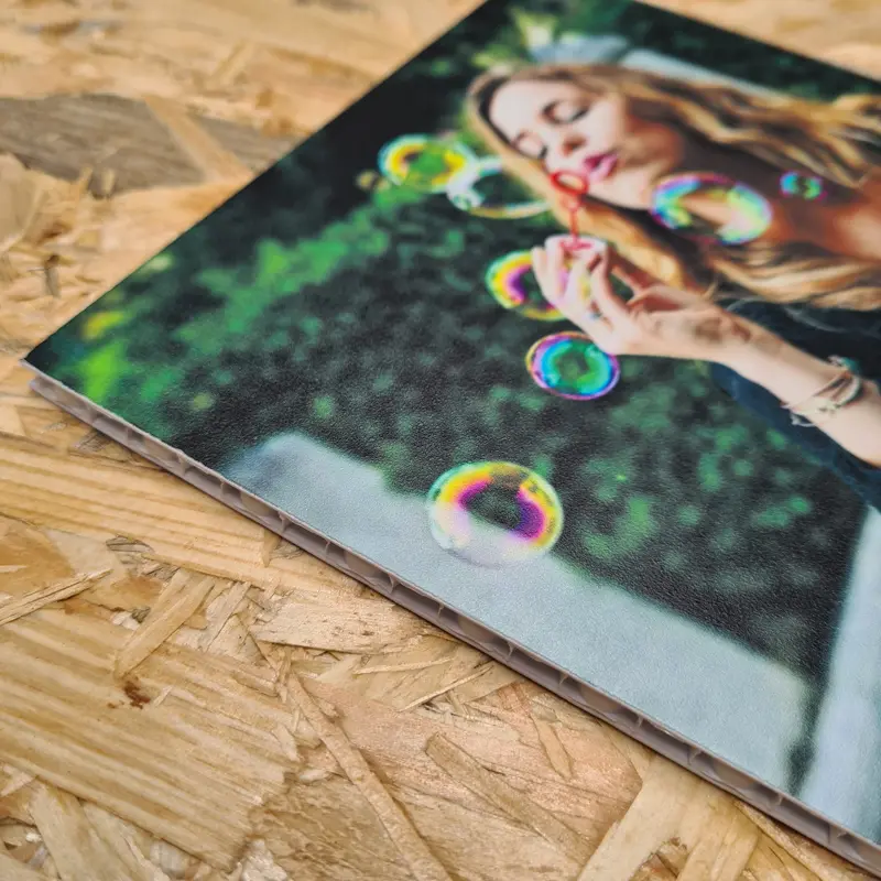 wn-bubble-board whats new - wn bubble board