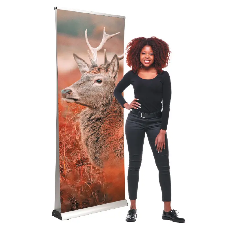 wn-dual-banner whats new - wn dual banner