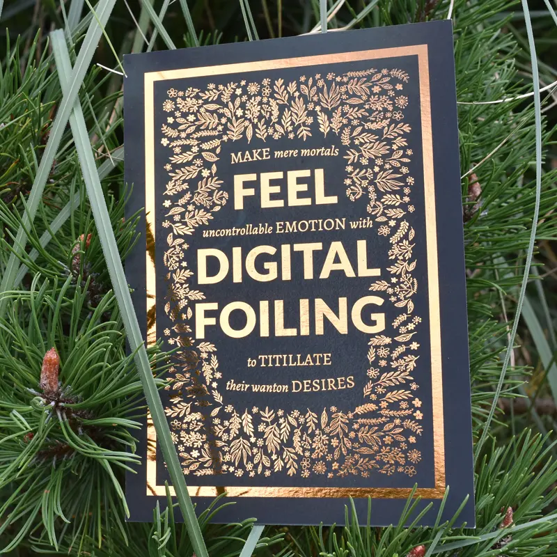 wn-foil-flyer whats new - wn foil flyer