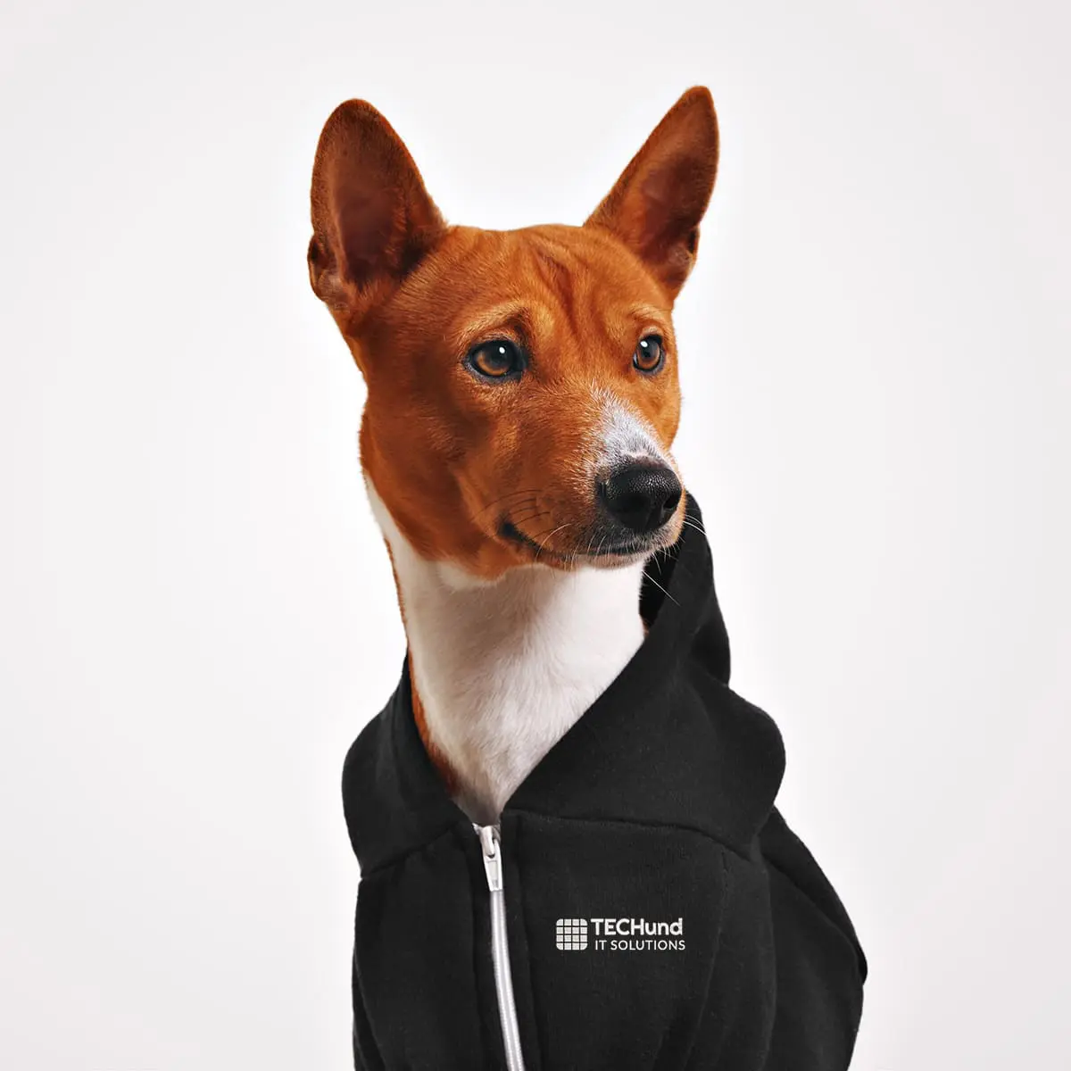 Branded Workwear - TECHund Dog
