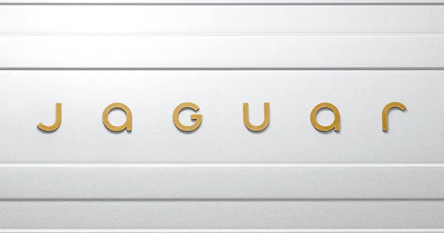 - jaguar m2 900