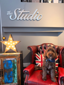 Web Design Tettenhall - Baxter scaled 1