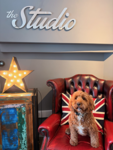 Web Design Tettenhall - Beau