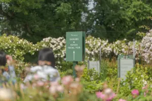 Web Design Tettenhall - Studio David Austin 8