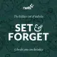 the hidden cost of a set and forget website and 5 checks you can do today