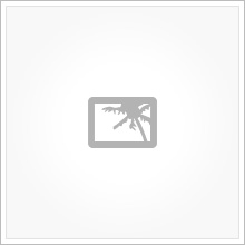 - placeholder