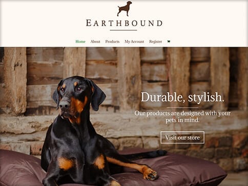 - Portfolio Earthbound