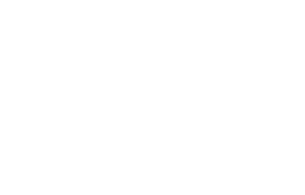 Partners - w3plogo