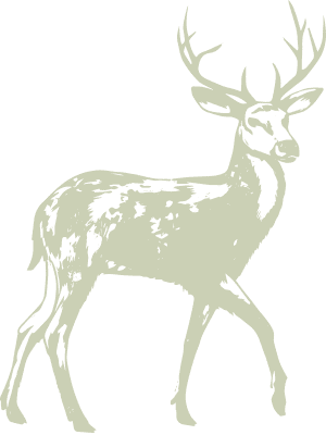 Partners - stag 1