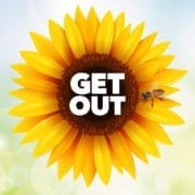 - 9211 sunflower cover