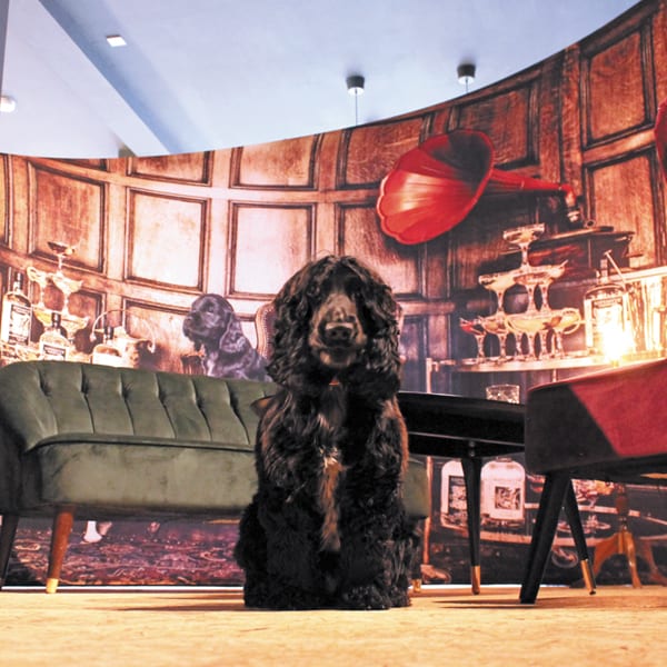 dog in front of exhibition stand