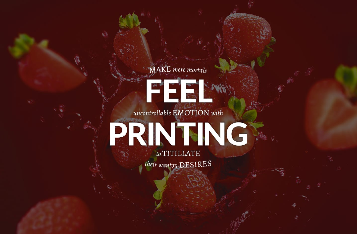 Nettl Printing Brochure Image