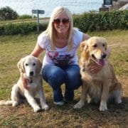 SEO Worcester - jacqui