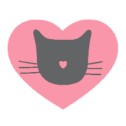 SEO Macclesfield - love cats