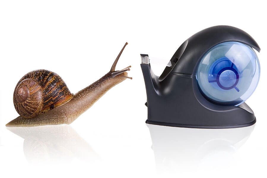 snail finds attractive design