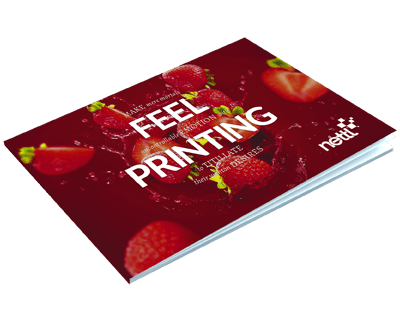 Nettl Buying Guide