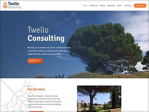 Twello Consulting img1
