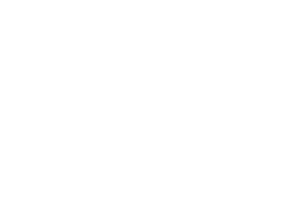 - extraordinary logo