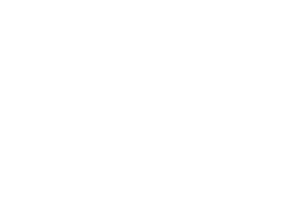 Flywheel : nettl.com