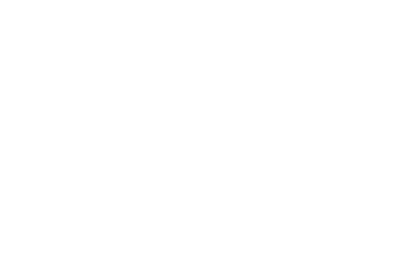 flywheel effect logo