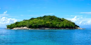 networking grow your business - island covered with green trees under the clear skies 188029